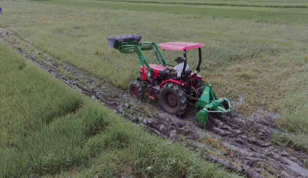 Red agricultural tractor with a front loader working in a muddy rice paddy field.