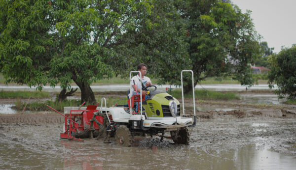 Farmer operating a ride-on rice transplanter in a flooded muddy paddy field.